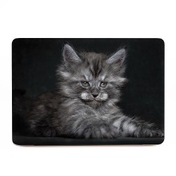 Kitten Cat Apple MacBook Skin / Decal