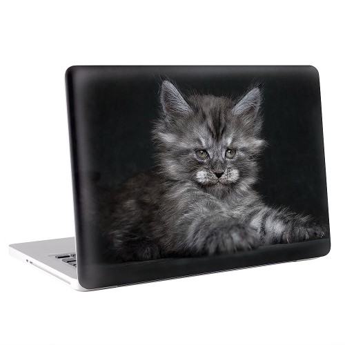 Kitten Cat Apple MacBook Skin / Decal