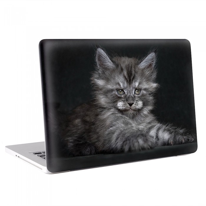 Kitten Cat MacBook Skin / Decal  (KMB-0297)