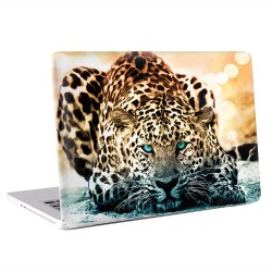 Leopard Apple MacBook Skin / Decal