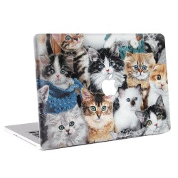 Cats Kittens  Apple MacBook Skin Aufkleber