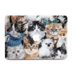 Cats Kittens  Apple MacBook Skin Aufkleber