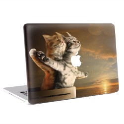 Titanic Cat  Apple MacBook Skin / Decal