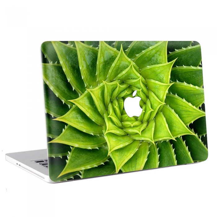 Vivid Green Spiral Aloe Plant  MacBook Skin / Decal  (KMB-0714)