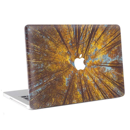 Tree Crowns  Apple MacBook Skin / Decal