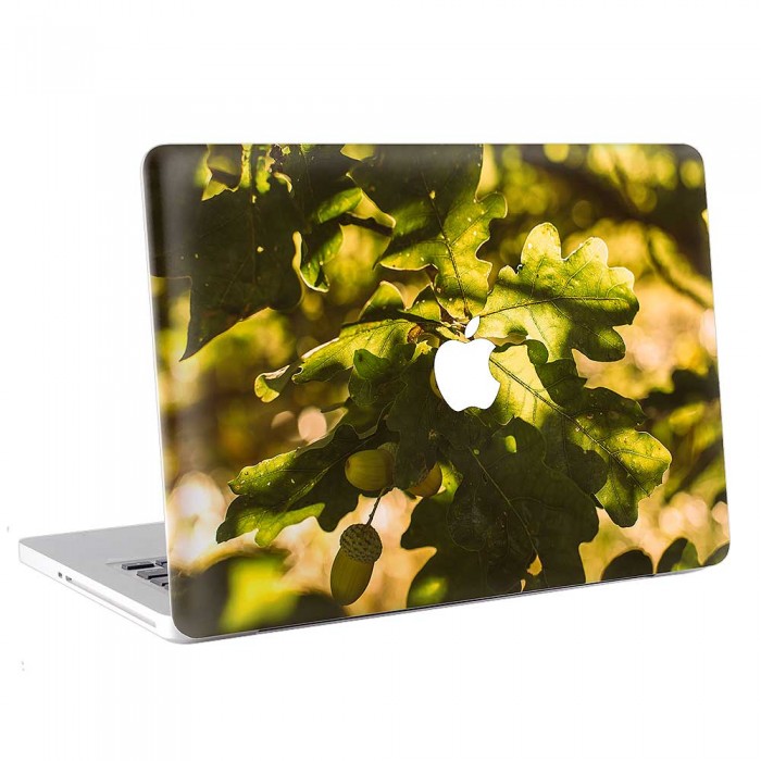 Oak Leaves with Acorns  MacBook Skin / Decal  (KMB-0782)