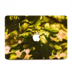 Oak Leaves with Acorns  Apple MacBook Skin / Decal