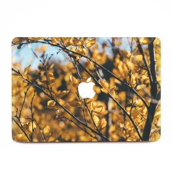 Autumn Leaves in the Sun  Apple MacBook Skin / Decal