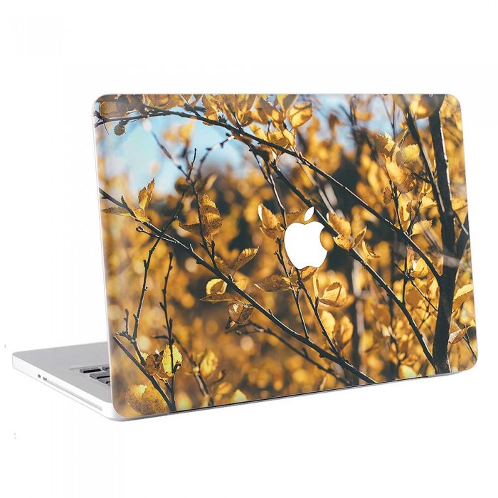 Autumn Leaves in the Sun  MacBook Skin / Decal  (KMB-0783)