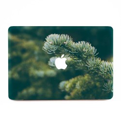 Fir Branches in the Forest  Apple MacBook Skin / Decal