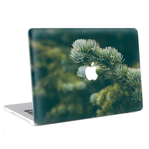Fir Branches in the Forest  Apple MacBook Skin / Decal
