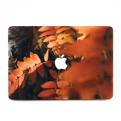 Beautiful Autumn Leaves in the Sun  Apple MacBook Skin / Decal
