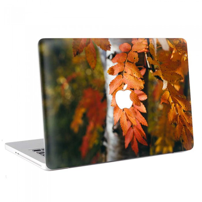 Leafs for Autumn  MacBook Skin / Decal  (KMB-0788)