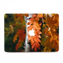 Leafs for Autumn  Apple MacBook Skin / Decal