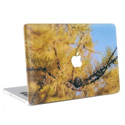 Fir Cones in Autumn Forest  Apple MacBook Skin / Decal