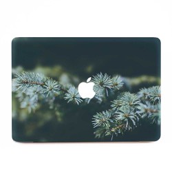 Fir Branches  Apple MacBook Skin / Decal