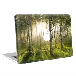 Birch Forest  Apple MacBook Skin / Decal